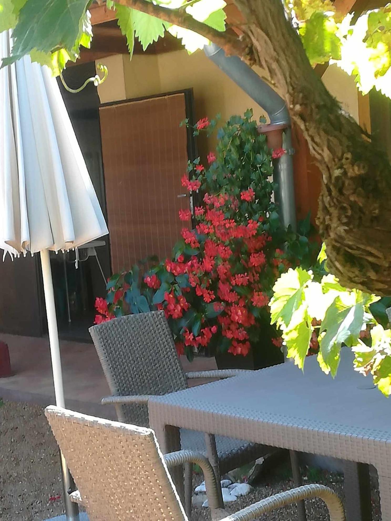 Muskatlis Haz Apartment Balatonlelle Luaran gambar